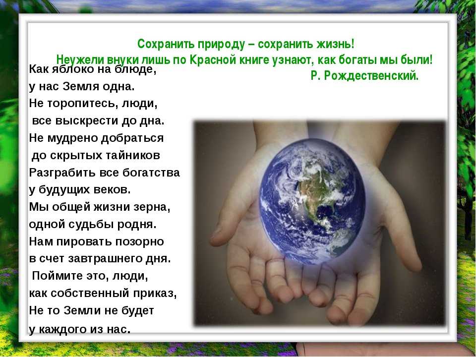 Проект как защитить природу