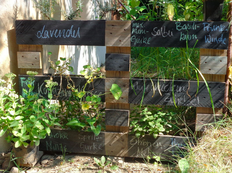 Vertical pallet garden