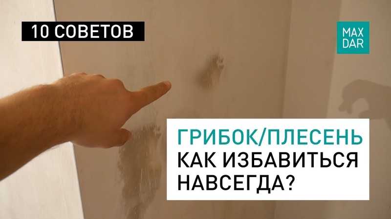 Как удалить грибок плесень на стенах навсегда. Средство от плесени на стенах в квартире. Плесень на стенах в квартире как избавиться навсегда. Как избавиться от грибка в квартире навсегда. Как избавиться от плесени на стенах навсегда.