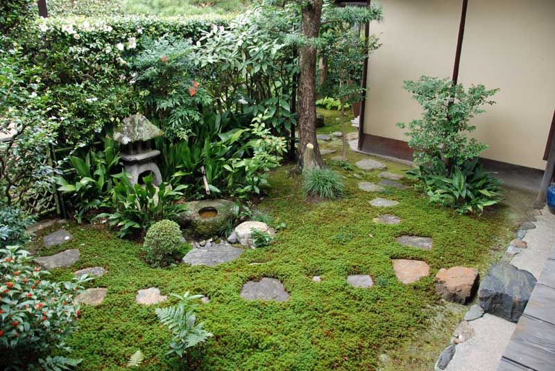 Японский уголок в саду своими руками фото и идеи