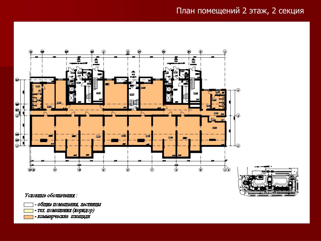 План здания. Задний план. Планировка секции.