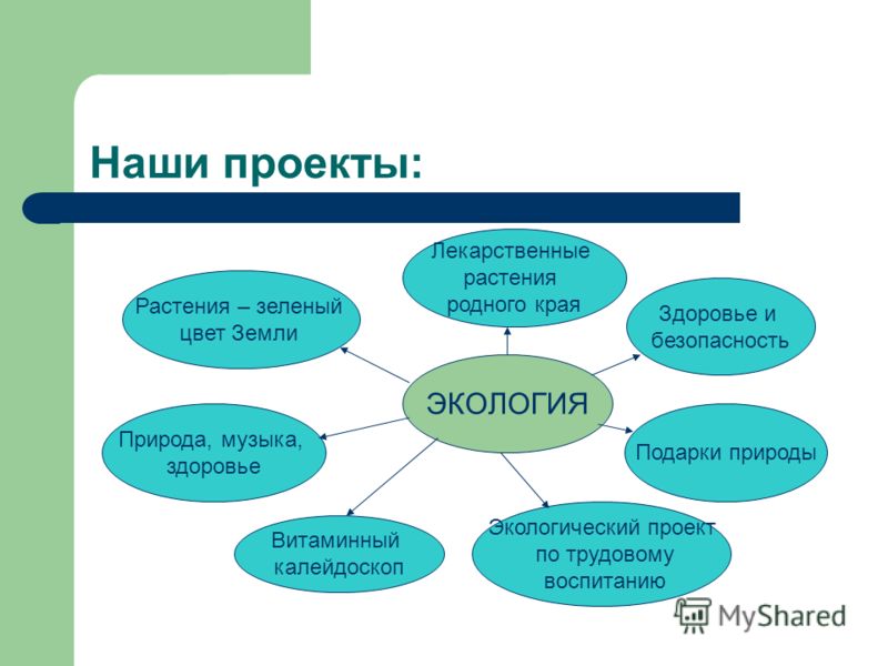 Проект связанный с экологией