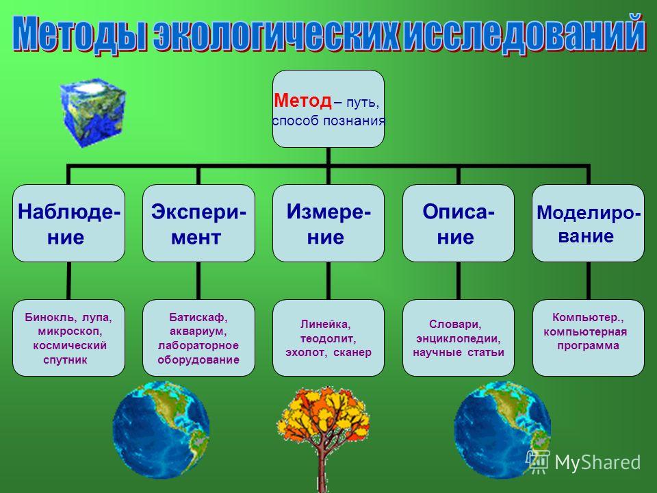 Проект по биологии на экологическую тему