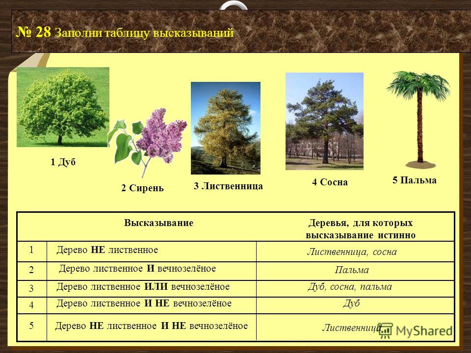 Растения заполнить таблицу. Таблица хвойные и лиственные деревья. Листопадные и вечнозеленые растения таблица. Листопадные и вечнозеленые деревья. Листопадные и вечнозеленые растения.