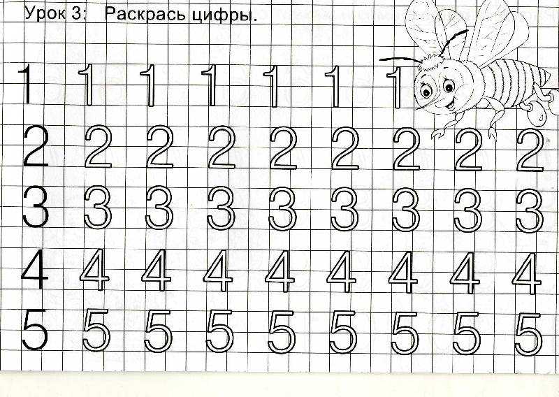 Рисуем цифру 5 по клеточкам