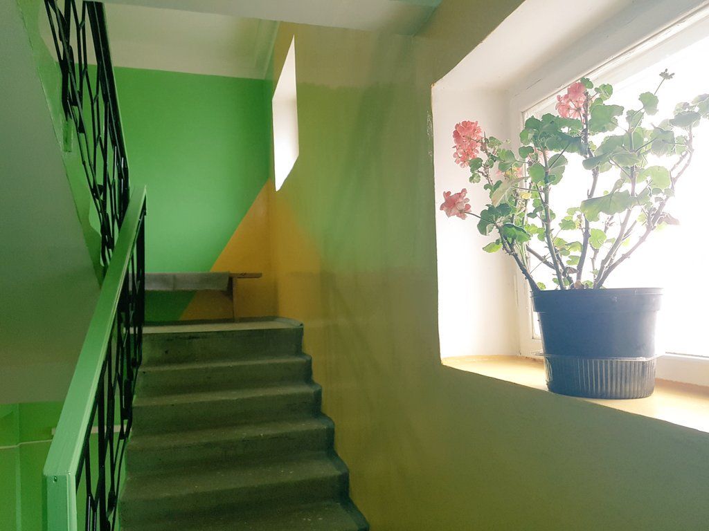 Цвет стен в подъезде жилого дома фото
