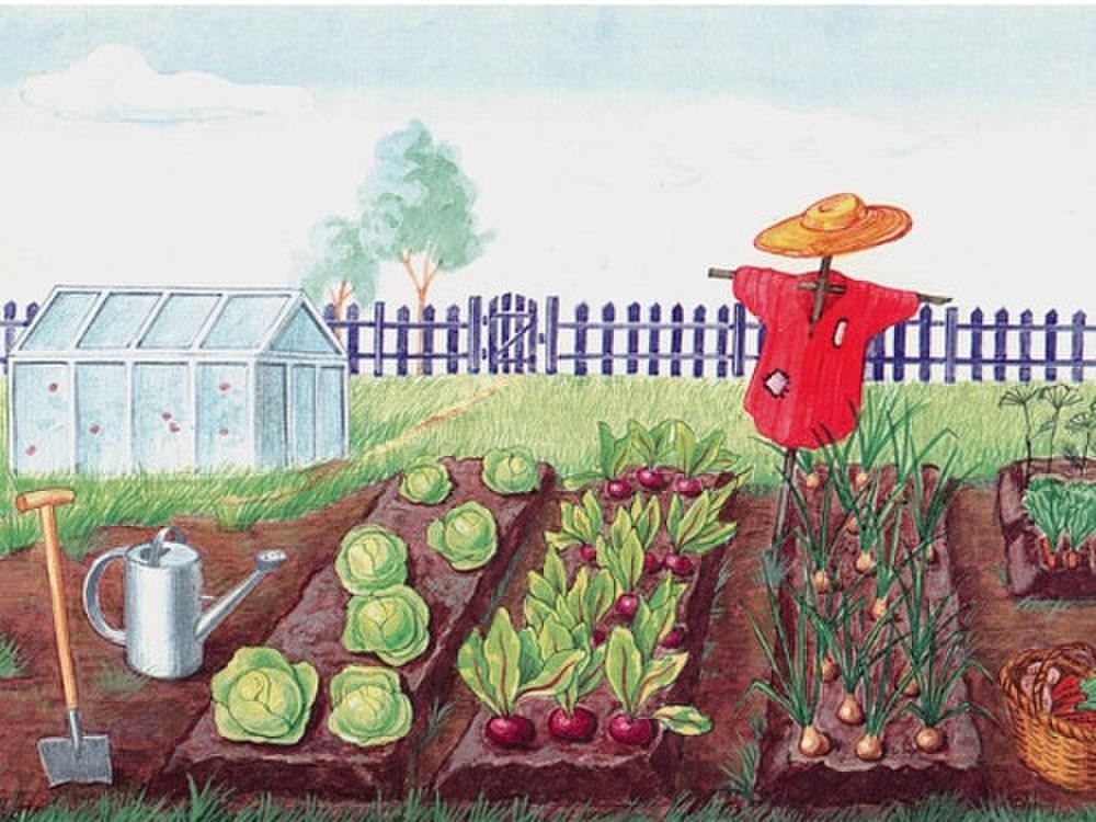 Рисованные картинки сад огород