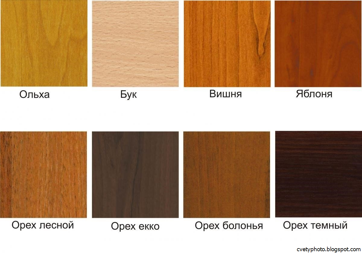 При обработке древесина может менять свой цвет