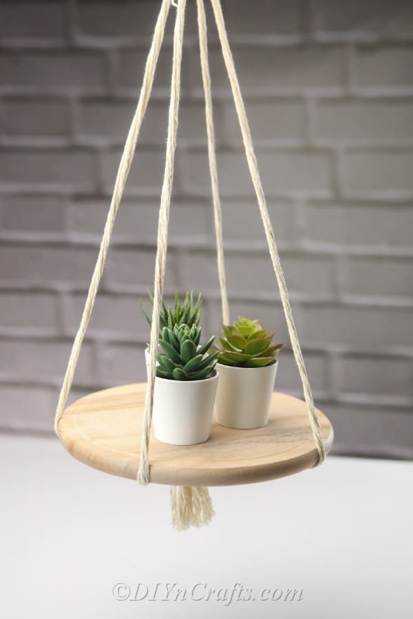 A DIY hanging shelf with three succulent plants on it.