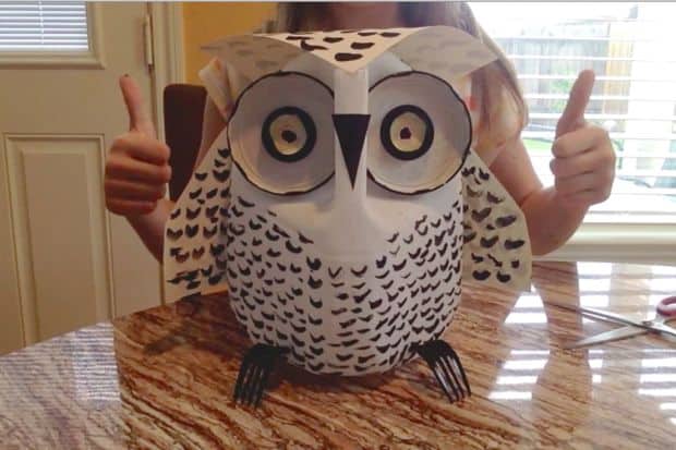 Milk jug and jar lid owl