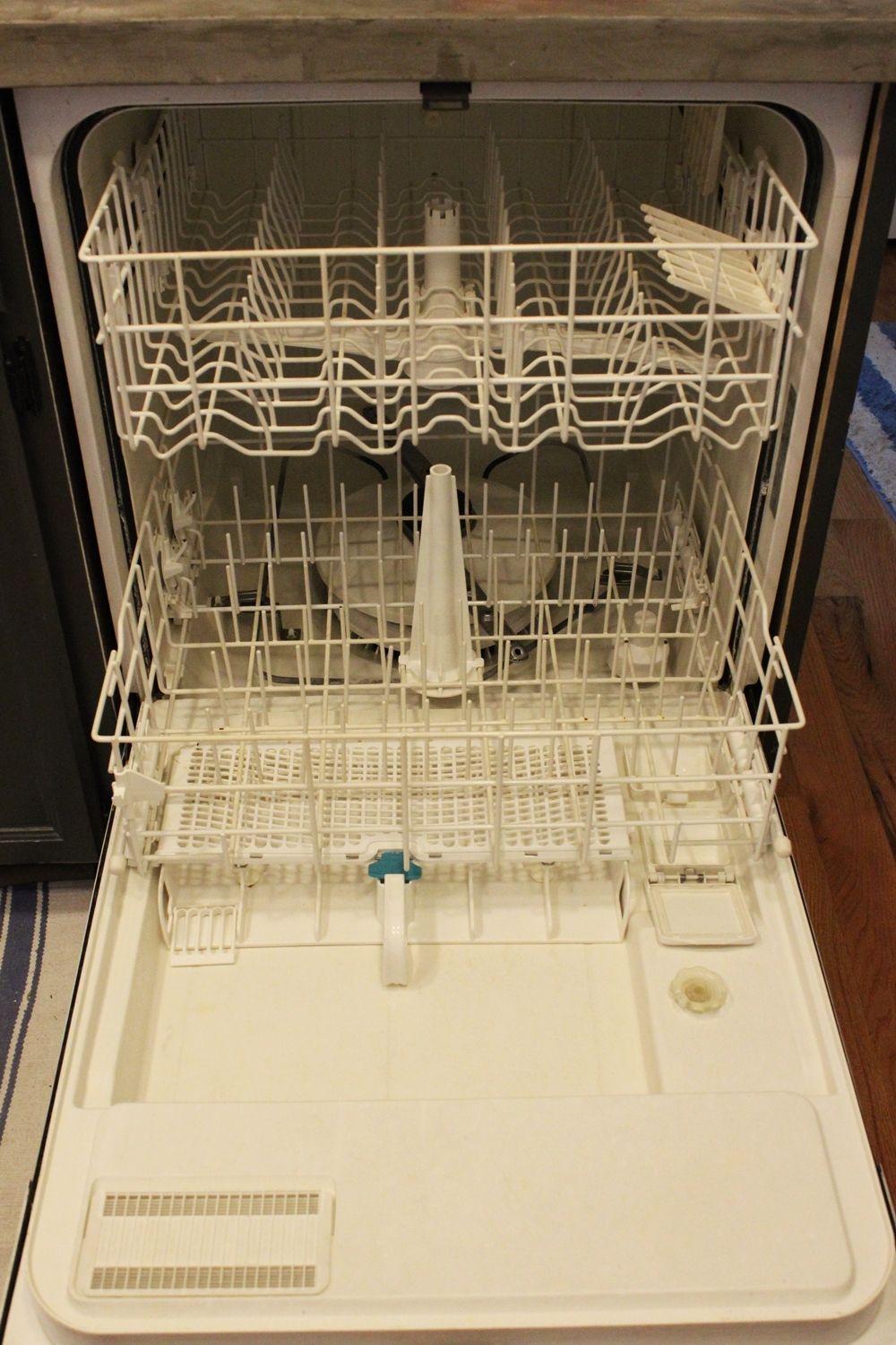 DIY Dishwasher Cleaner