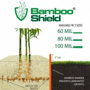 Bamboo Shield sizing chart
