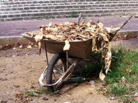 Приведите в порядок плодовый сад, чтобы уже в этом году получить урожай