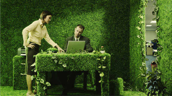 Озеленение офиса.