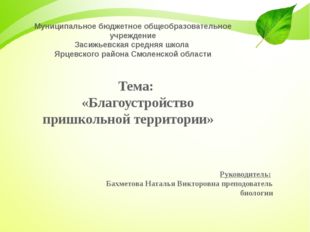 Муниципальное бюджетное общеобразовательное учреждение Засижьевская средняя ш
