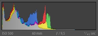 Example of histogram of a low-contrast image without bright tones