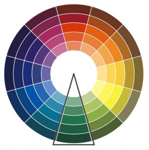 Цветовой круг оттенков цветов