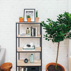 Bookshelf with tree accessorized to achieve a 