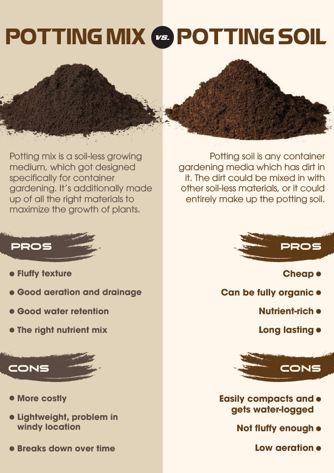 Difference between potting soil and potting mix