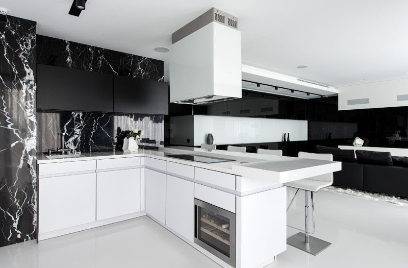 Black and White apartment kitchen cabinets