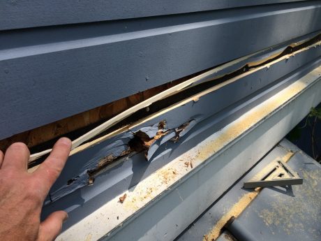 clapboard siding repair