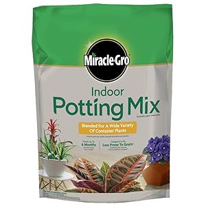 Best Potting Soil for Indoor Plants