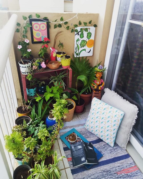 растения на балконе 