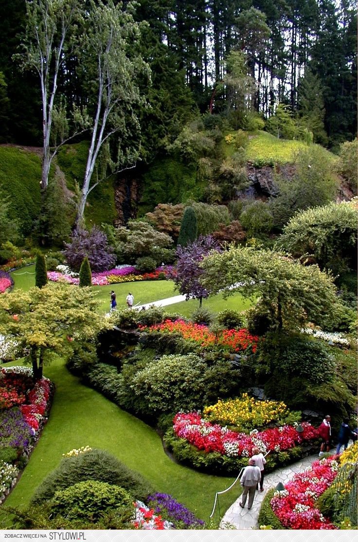 Красивые сады и дворики фото