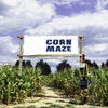 Best Corn Maze