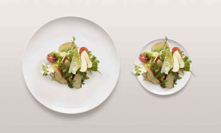 Как цвет и размер тарелок влияет на аппетит во время диеты