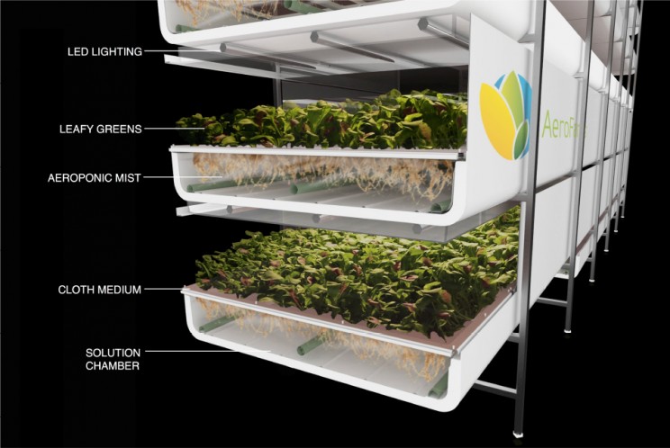13 Vertical Farming Innovations That Could Revolutionize Agriculture