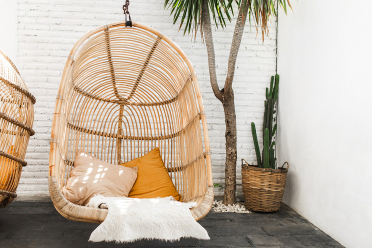 15 Amazing Things You Can Do with Bamboo