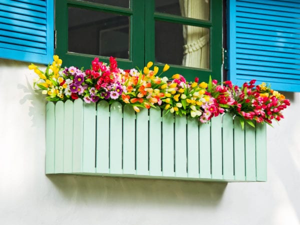 A basket of bright green flowers hangs on the window