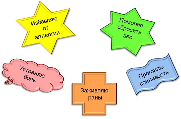 как оформить витрины в аптеке