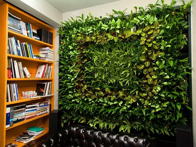 Вертикальное озеленение в офисе