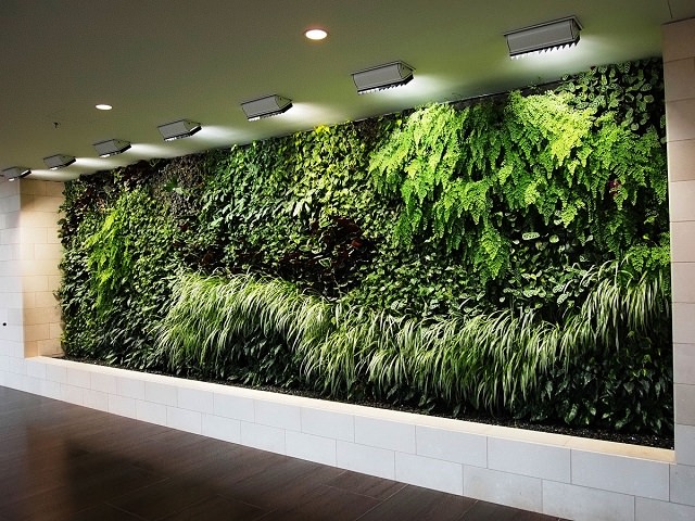 Вертикальное озеленение в холле