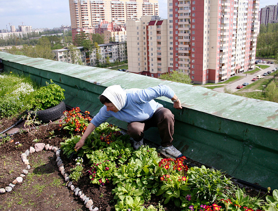 Иногда жильцы верхних этажей самовольно разбивают на крышах домов огороды — это незаконно