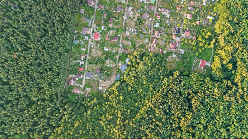 Aerial top view of residential area summer houses in forest from above, countryside real estate and small dacha village in Ukraine. Kyiv stock photos