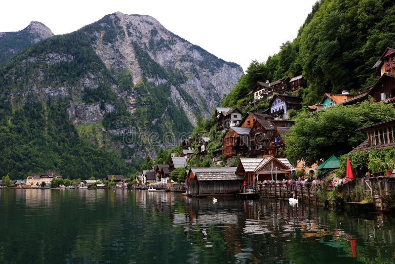 Alpine houses decorated with flowers and plants. Photo of alpine houses in front of the lake in Hallstatt decorated with flowers and plants outside the houses stock photo