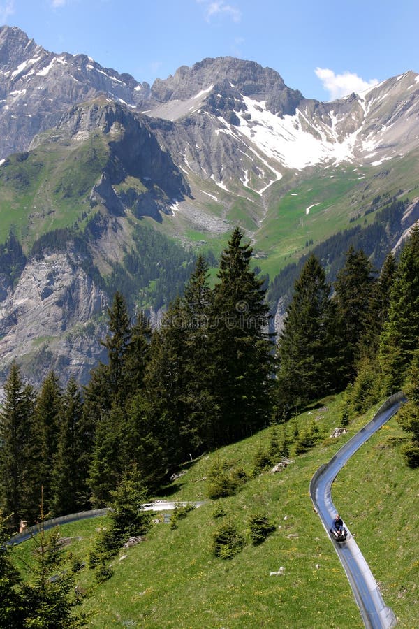 Alpine Slide in the Swiss Alps stock photos