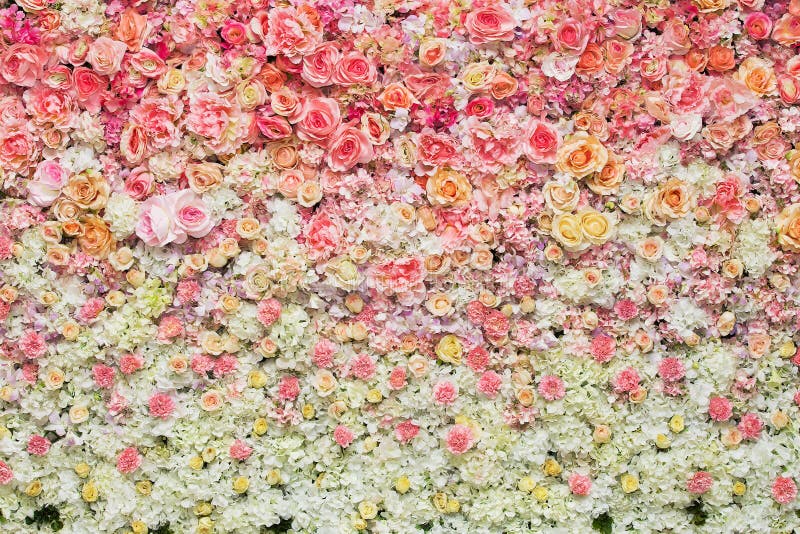 Beautiful flowers background for wedding royalty free stock photos