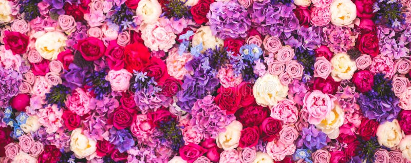 Beautiful wall made of red violet purple flowers, roses, tulips, press-wall, background royalty free stock photo