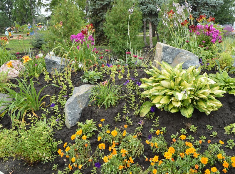 Blooming flowers in flower bed with rocks, Alpine slide stock photo
