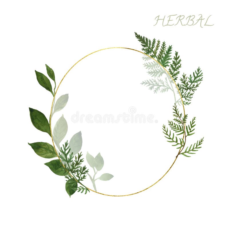 Botanics watercolor golden frame with wild herbs and green leaves on white background. Wedding invitation design template. Delicate modern botanical floral vector illustration