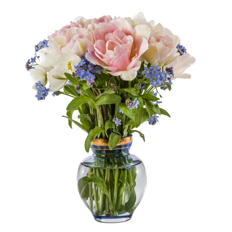 Bouquet of flowers in a vase, tulips and forget-me-not, isolated. On white background royalty free stock photography