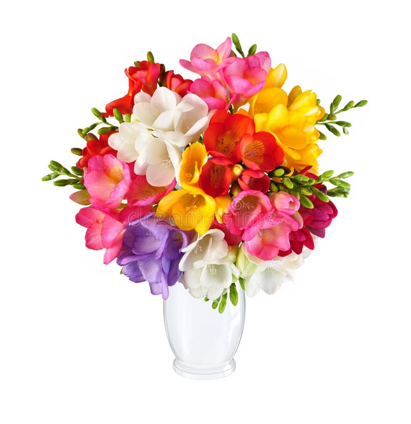 Bouquet of spring flowers in white vase. Isolated on white background royalty free stock photos