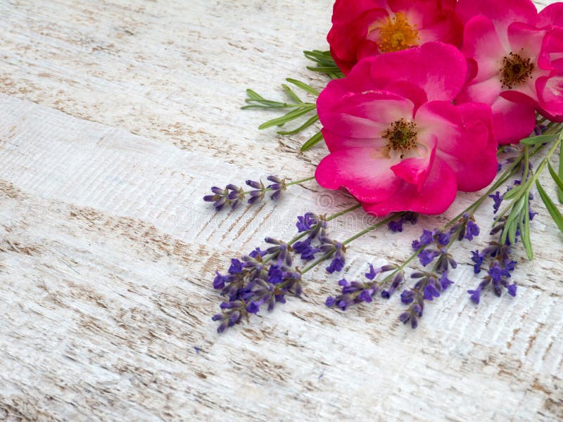 Bright pink roses and provence lavender bouquet. On the wooden rustic background stock images