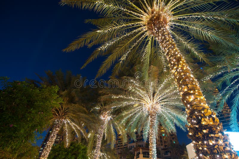 Christmas decoration background palm tree stock photo