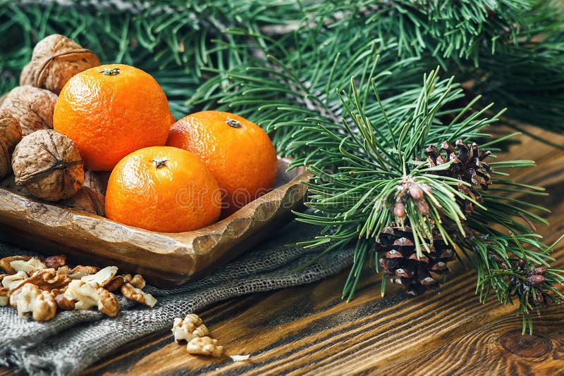 Christmas New Year composition winter holiday celebration concept symbol tangerines mandarin clementine nuts pine cones fir branch royalty free stock photography Christmas New Year composition winter holiday celebration concept symbol tangerines mandarin clementine nuts pine cones fir branch royalty free stock photography