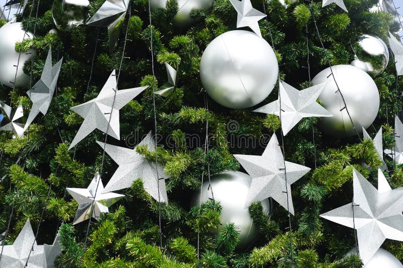 Christmas tree stock image